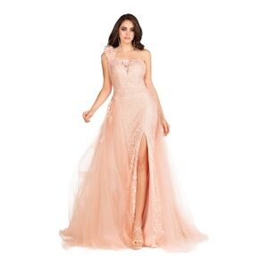Abby Paris Longs by Lucci Lu Lace Gown with Tulle Overskirt in Blush NWT